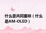 什么是共同富裕（什么是AM-OLED）