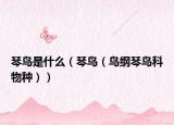 琴鸟是什么（琴鸟（鸟纲琴鸟科物种））