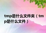 tmp是什么文件夹（tmp是什么文件）