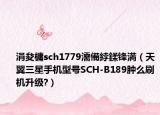 涓夋槦sch1779濡備綍鍒锋満（天翼三星手机型号SCH-B189肿么刷机升级?）