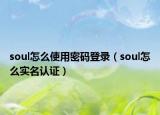 soul怎么使用密码登录（soul怎么实名认证）