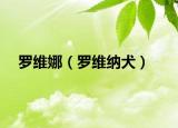 罗维娜（罗维纳犬）