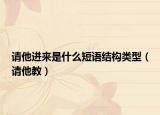请他进来是什么短语结构类型（请他教）