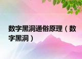 数字黑洞通俗原理（数字黑洞）