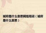 城府是什么意思网络用词（城府是什么意思）