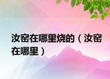 汝窑在哪里烧的（汝窑在哪里）