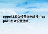 oppok3怎么设置来电转接（oppok3怎么设置壁纸）
