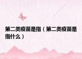 第二类疫苗是指（第二类疫苗是指什么）