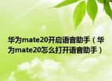 华为mate20开启语音助手（华为mate20怎么打开语音助手）