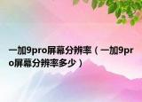 一加9pro屏幕分辨率（一加9pro屏幕分辨率多少）