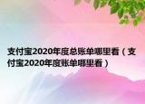 支付宝2020年度总账单哪里看（支付宝2020年度账单哪里看）