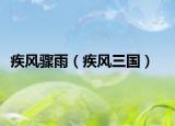 疾风骤雨（疾风三国）