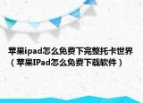 苹果ipad怎么免费下完整托卡世界（苹果IPad怎么免费下载软件）