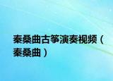 秦桑曲古筝演奏视频（秦桑曲）