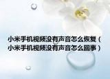 小米手机视频没有声音怎么恢复（小米手机视频没有声音怎么回事）