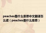 peaches是什么意思中文翻译怎么读（peaches是什么意思）