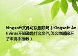 kingsoft文件可以删除吗（Kingsoft Antivirus不知道是什么文件,怎么也删除不了求高手指教）