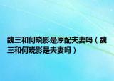 魏三和何晓影是原配夫妻吗（魏三和何晓影是夫妻吗）