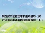 现在房产证有正本和副本是吗（房产证有正副本吗哪位能够告知一下）