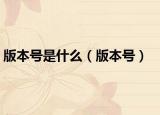 版本号是什么（版本号）