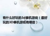 有什么好玩的3d单机游戏（最好玩的3D单机游戏有哪些）