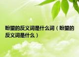盼望的反义词是什么词（盼望的反义词是什么）