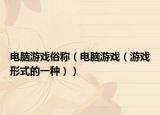 电脑游戏俗称（电脑游戏（游戏形式的一种））