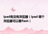 ipad有没有浏览器（ipad 哪个浏览器可以看flash）