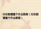 行长助理是个什么职务（行长助理是个什么职务）