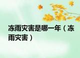 冻雨灾害是哪一年（冻雨灾害）