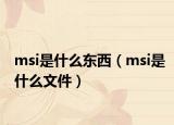 msi是什么东西（msi是什么文件）