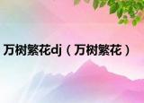 万树繁花dj（万树繁花）