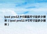 ipad pro12.9寸屏幕尺寸是多少厘米（ipad pro12.9寸尺寸是多少厘米）