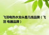 飞羽电热水龙头是几线品牌（飞羽 电器品牌）