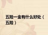 五险一金有什么好处（五险）