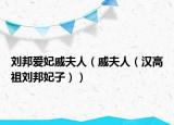刘邦爱妃戚夫人（戚夫人（汉高祖刘邦妃子））