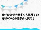 dnf3000点券是多少人民币（dnf的5000点券要多少人民币）