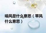 噏风是什么意思（苹风什么意思）