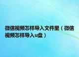 微信视频怎样导入文件里（微信视频怎样导入u盘）