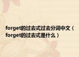 forget的过去式过去分词中文（forget的过去式是什么）