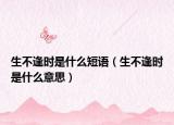 生不逢时是什么短语（生不逢时是什么意思）