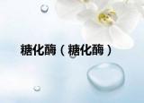 糖化酶（糖化酶）