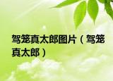 驾笼真太郎图片（驾笼真太郎）