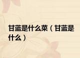 甘蓝是什么菜（甘蓝是什么）