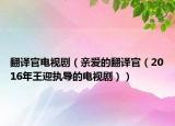 翻译官电视剧（亲爱的翻译官（2016年王迎执导的电视剧））
