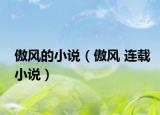 傲风的小说（傲风 连载小说）