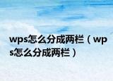 wps怎么分成两栏（wps怎么分成两栏）