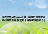 魔兽世界战袍商人在哪（魔兽世界敬爱公会战袍怎么弄,就是那个战网绑定的那个）