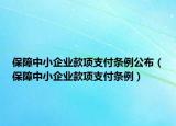 保障中小企业款项支付条例公布（保障中小企业款项支付条例）