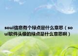 soul信息有个绿点是什么意思（soul软件头像的绿点是什么意思啊）